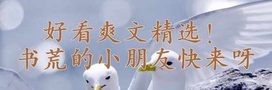 好看爽文精选！书荒的小朋友快来呀